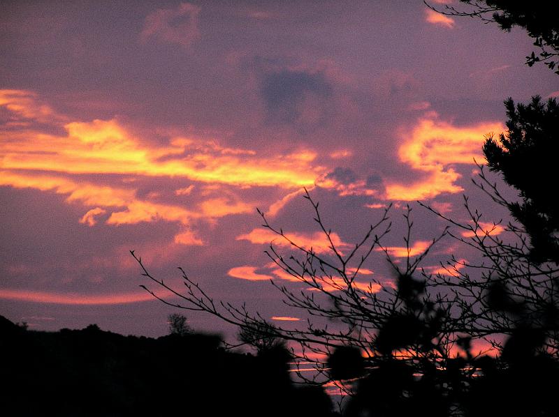 Sunset at Binning Wood.JPG